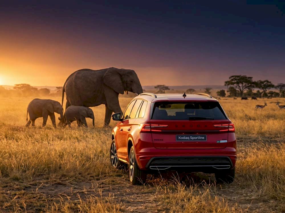 Skoda Kodiaq 2026 phi&ecirc;n bản n&acirc;ng cấp full ADAS, gi&aacute; từ 1,628 triệu